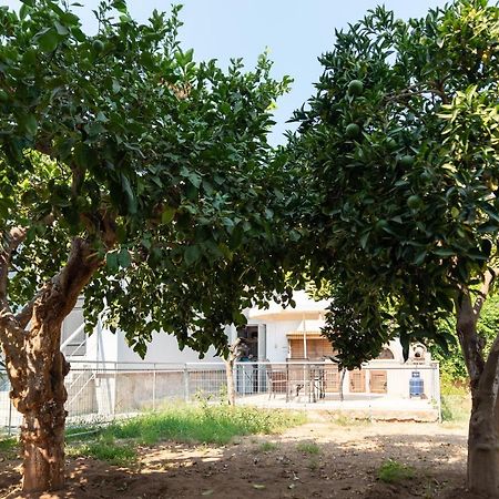 Garden House Preveza 아파트 외부 사진