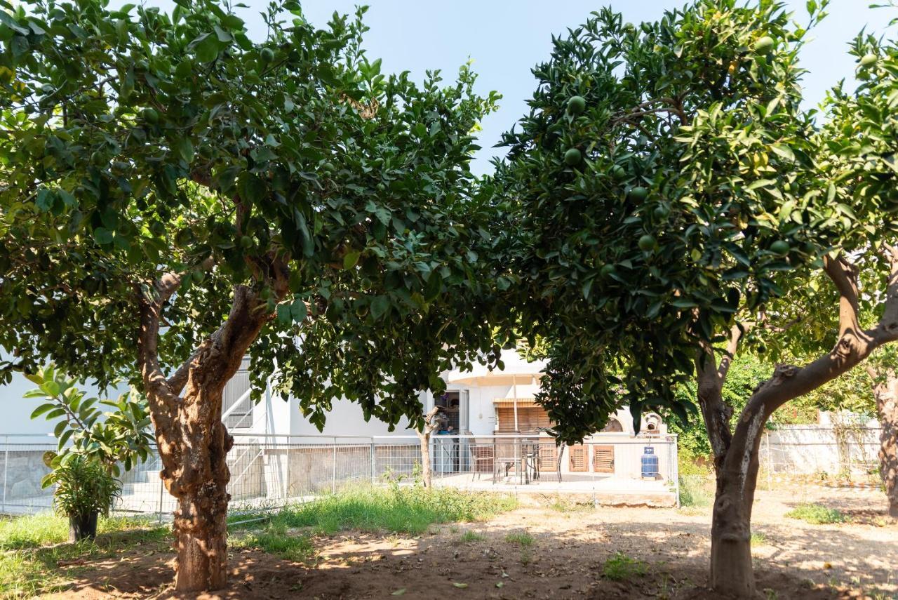 Garden House Preveza 아파트 외부 사진